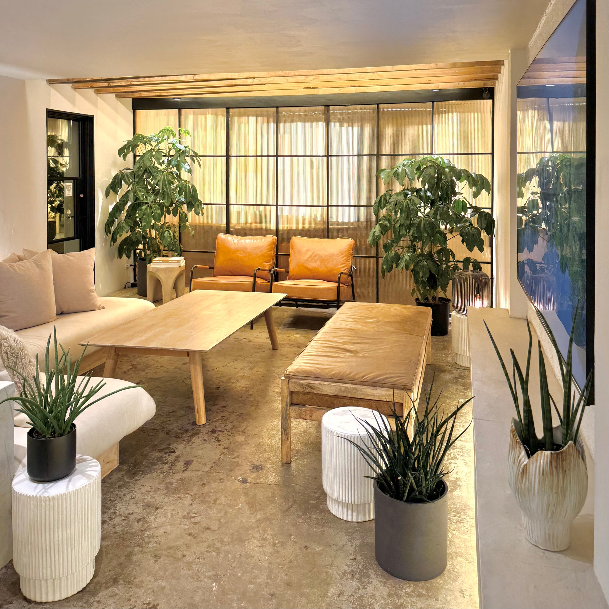 The Lounge