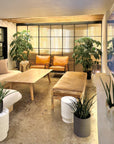 The Lounge